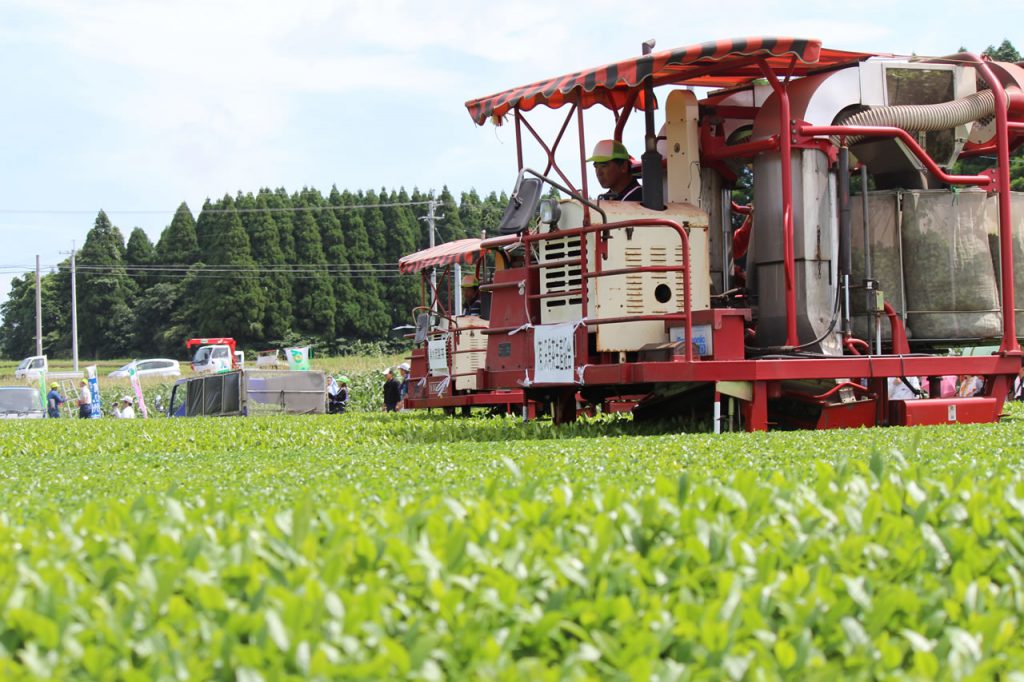 南九州市乗用型茶摘採競技大会