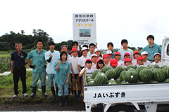 徳光小学校スイカ収穫・市場体験