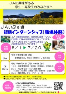 令和7年度チラシ案のサムネイル